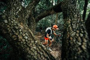 BIB: 
                            <button type="button" onclick="openModal(25392119)" class="btn btn-primary btn-sm float-right btn-popup" data-toggle="modal" data-target=".modal-high-quality">
                        <i class="fas fa-shopping-cart"></i> Add to Cart
                    </button>
                                            <button type="button" onclick="isThisMe(25392119, true)" class="btn btn-success btn-sm float-right btn-popup btn-isme hidden" data-toggle="tooltip" data-placement="bottom" title="นี่คือรูปของคุณใช่ไหม คลิกที่นี่เพื่อเอาเข้าอัลบั้ม">
                        <i class="fas fa-plus"></i> Add to album
                    </button>
                    <button type="button" onclick="isThisMe(25392119, false)" class="btn btn-warning btn-sm float-right btn-popup btn-isnotme hidden">
                        <i class="fas fa-ban"></i> Remove from album
                    </button>